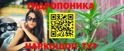 гидра Свободный