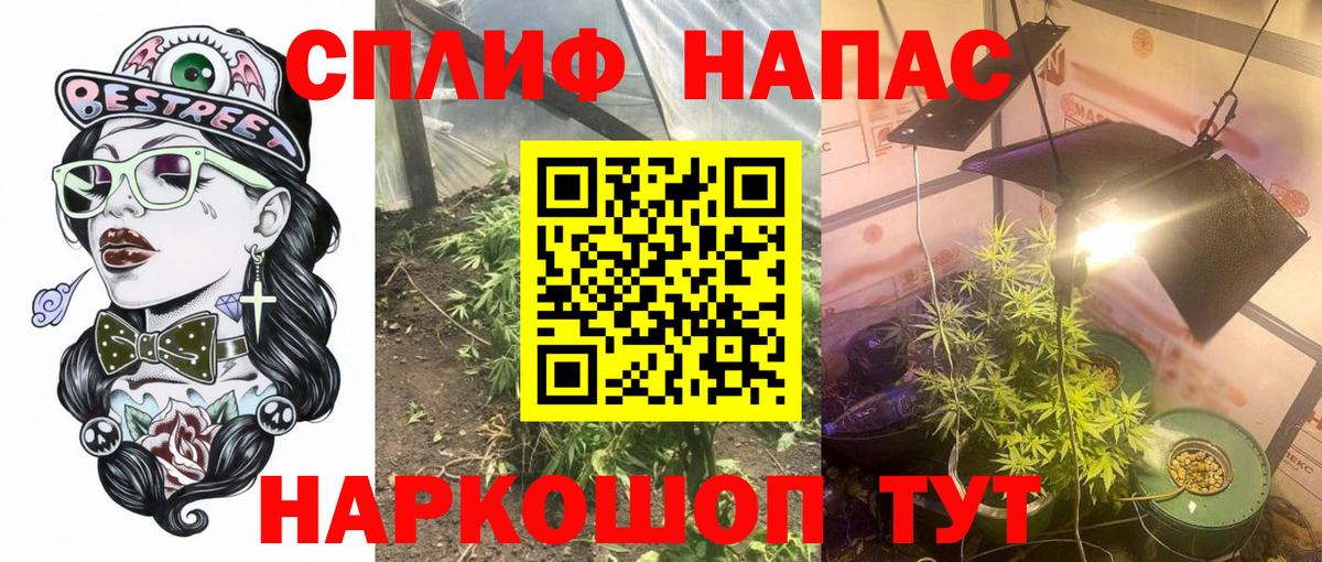 Конопля Amnesia  Вход с VPN  Бошки Шишки LSD WEED  Пенза  Бошки марихуана гибрид 